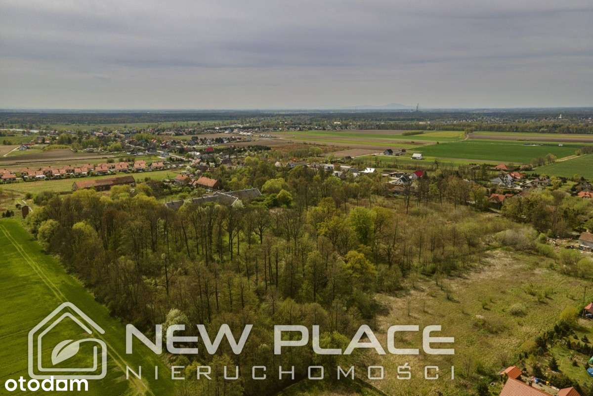 Grunt 4 ha, Mpzp w trakcie, Jeszkowice Czernica - Pełny obrazek: 4/10