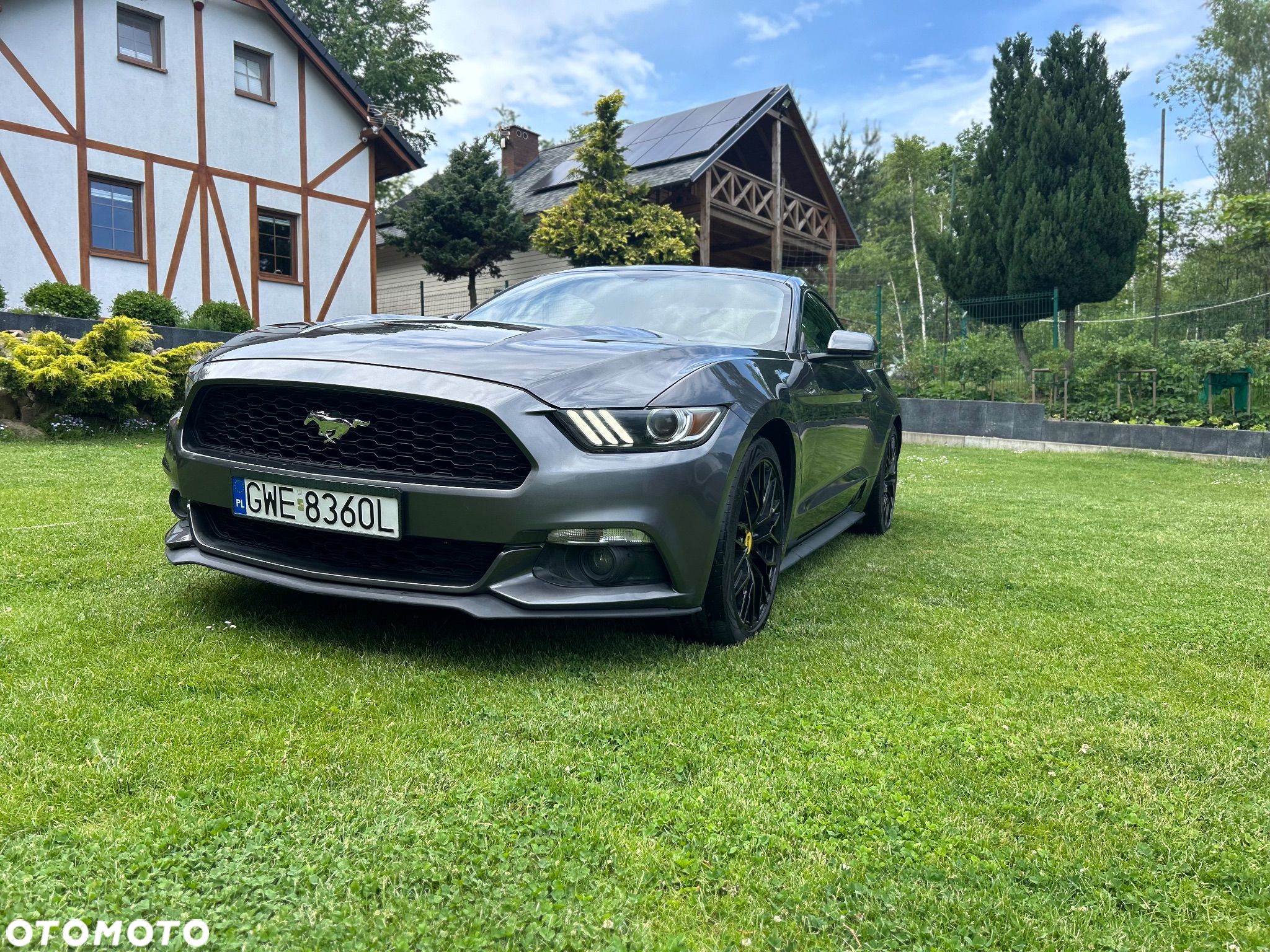 Ford Mustang - 1