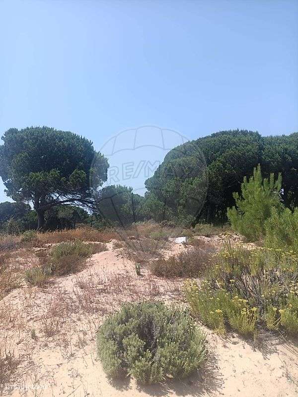 Terreno  para venda - Grande imagem: 2/5