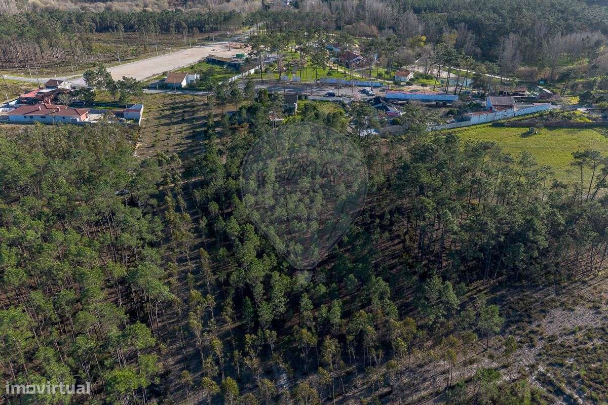 Terreno  para venda - Grande imagem: 4/10