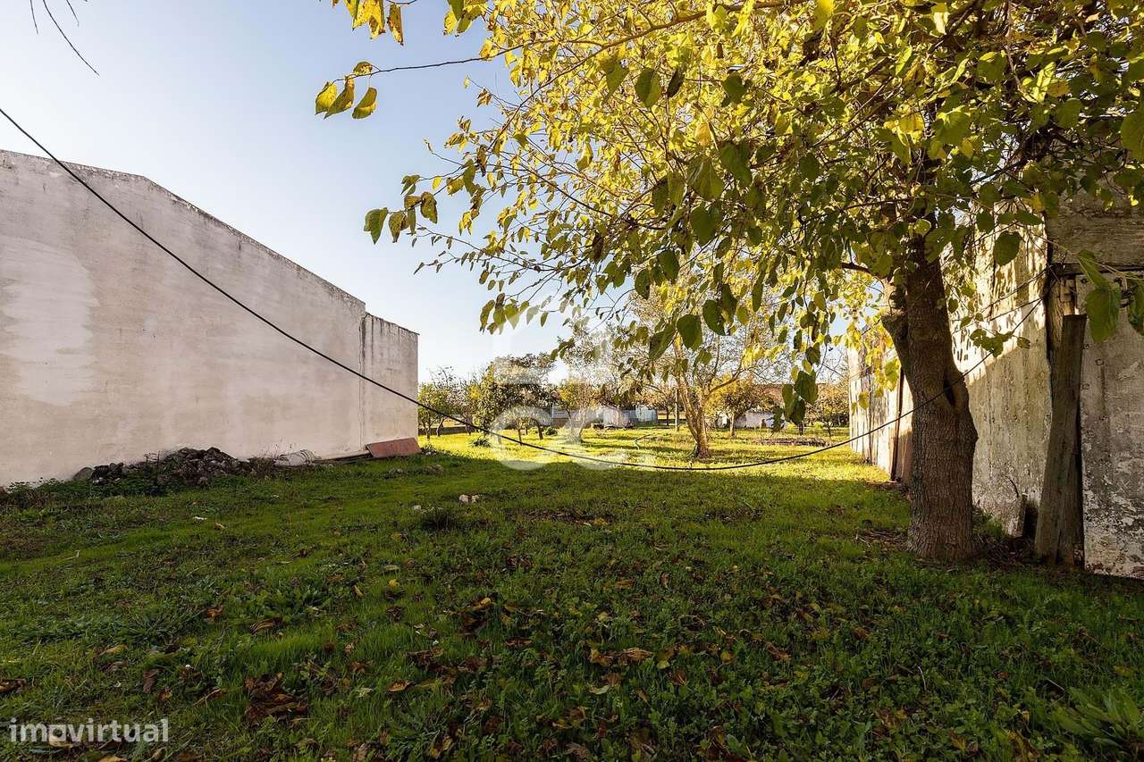 Terreno de  1.350 m² c/ Anexo de Apoio Agrícola | Canaviais, Évora-14