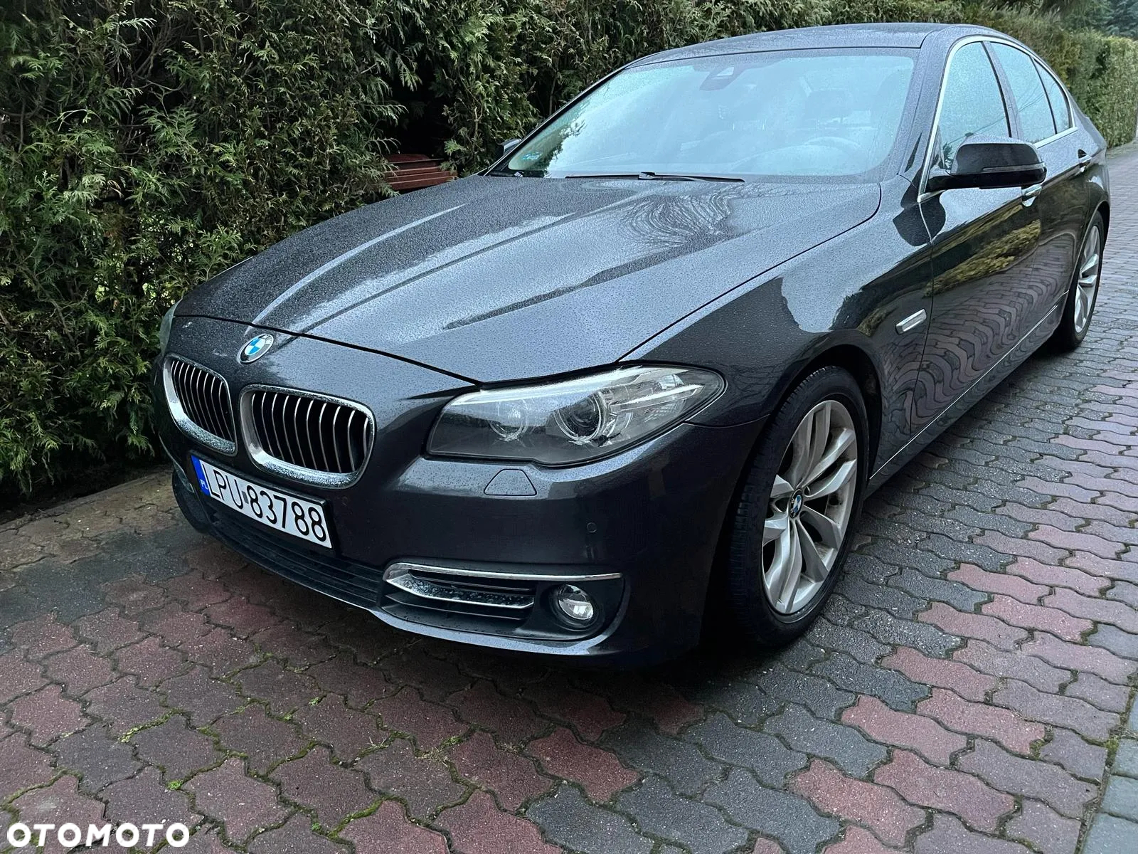 BMW Seria 5 520d - 11