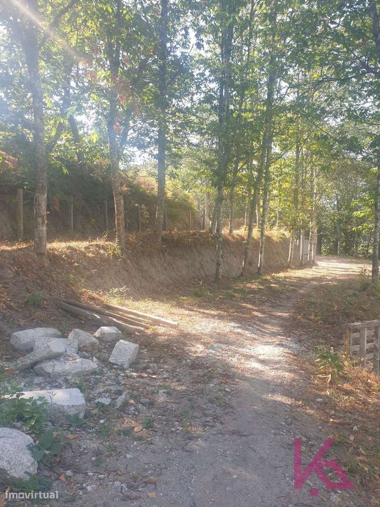 QUINTA LUFREI - Grande imagem: 4/10