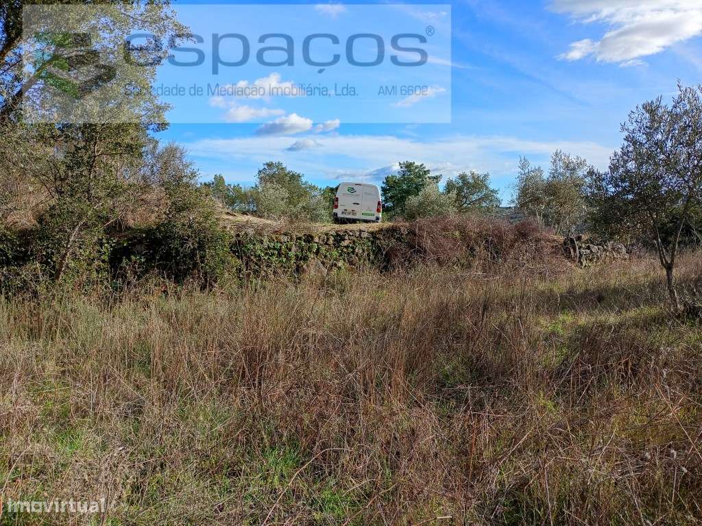 Terreno Rústico a 15 minutos de Castelo Branco-11