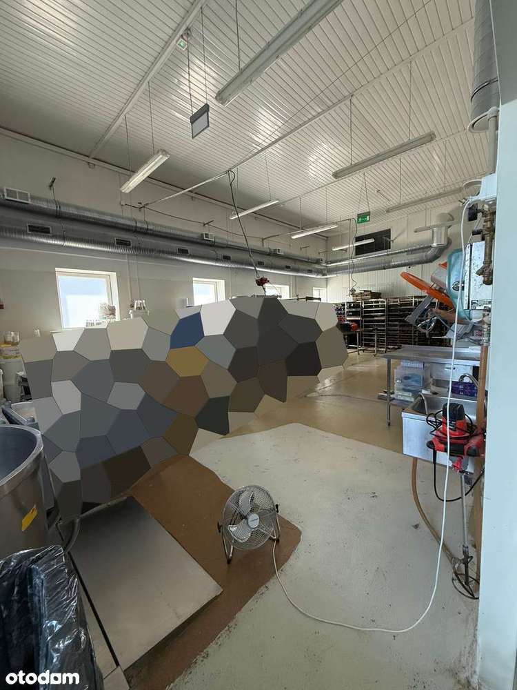 Bielsko-Biała – hala produkcyjna spożywcza 500 m² - chłodnie, 2 rampy - Pełny obrazek: 3/10