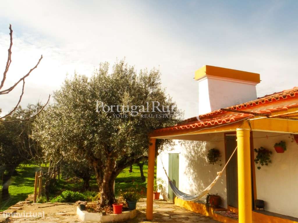 Quinta T3 em Alegrete, Portalegre - Grande imagem: 4/38