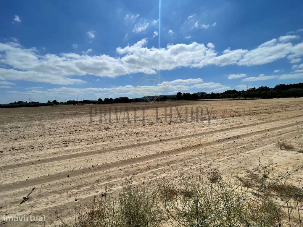 Terreno com potencial logístico ou industrial com 255.404m2 - Grande imagem: 3/24