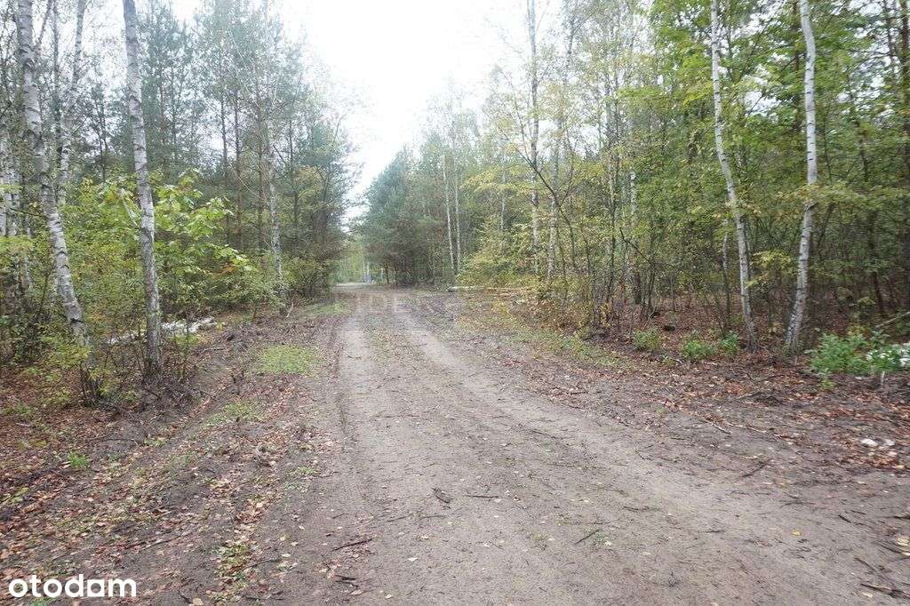działka w otulinie Kpn-3
