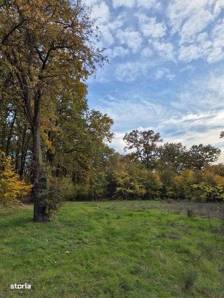 Teren de vanzare Branesti - Imagine principală: 4/7