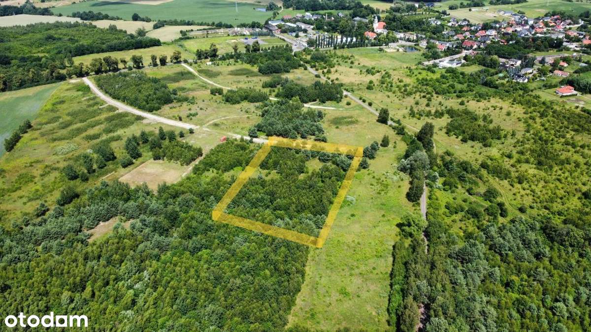 Wyjątkowe 3 działki | Morasko | dom na skarpie - Pełny obrazek: 4/13