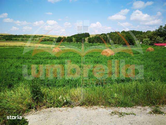 De vanzare in FUNDATURA, 14.727 mp - Imagine principală: 5/7