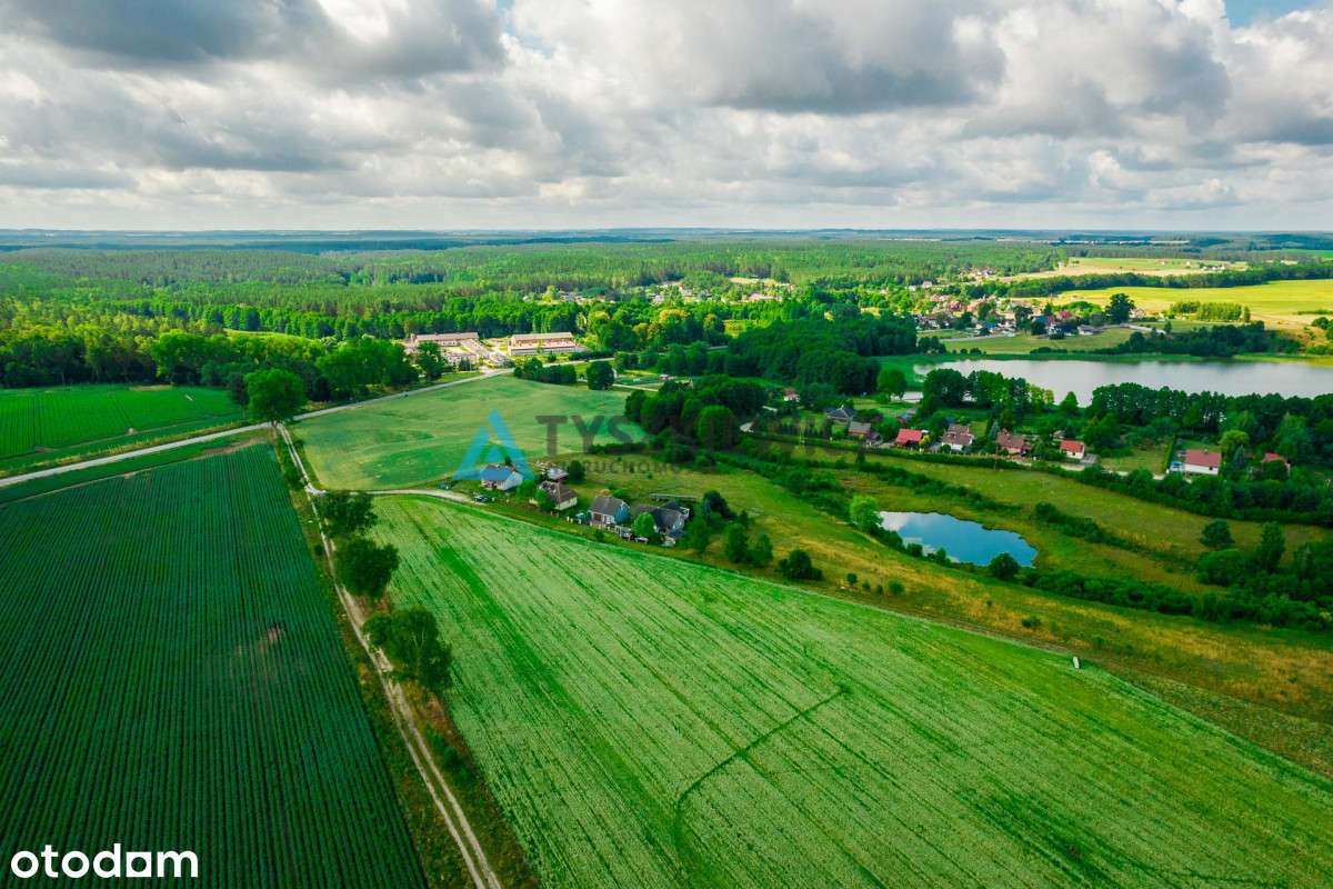 Działka rolna nad J. Trzebież, w Nożynie - Pełny obrazek: 5/12