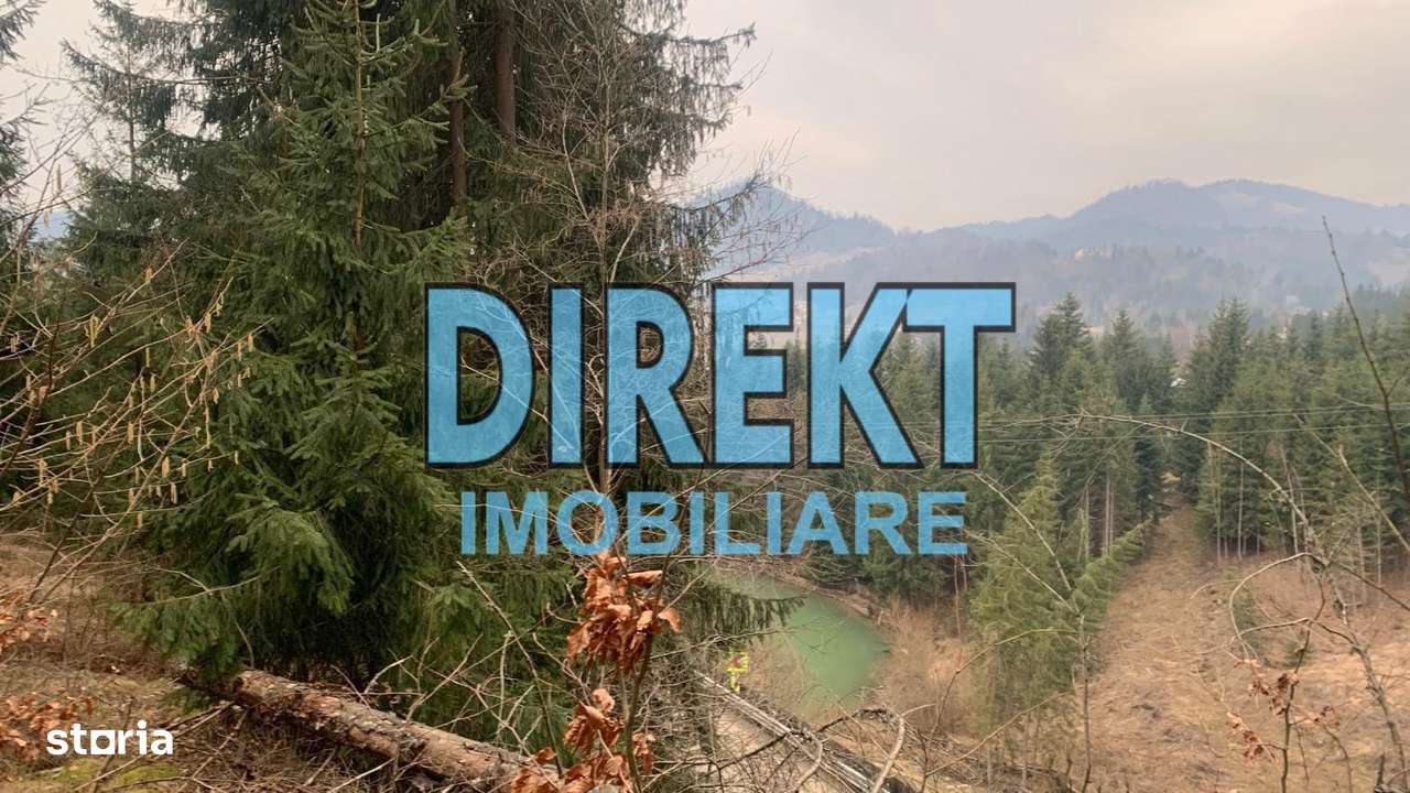 Teren intravilan Colibița - Imagine principală: 3/7