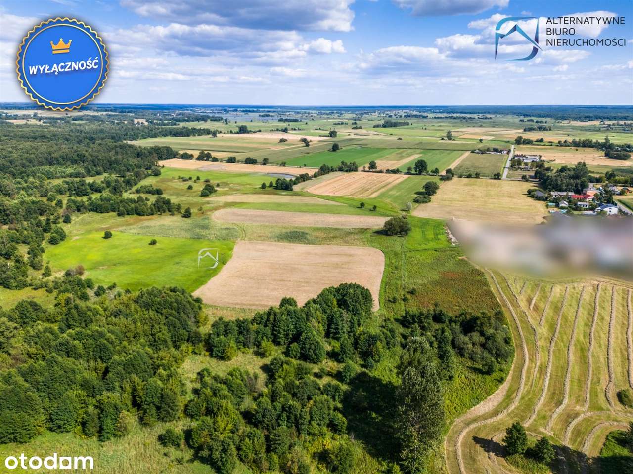 Piękne łąki na sprzedaż- Drążgów - Pełny obrazek: 4/8