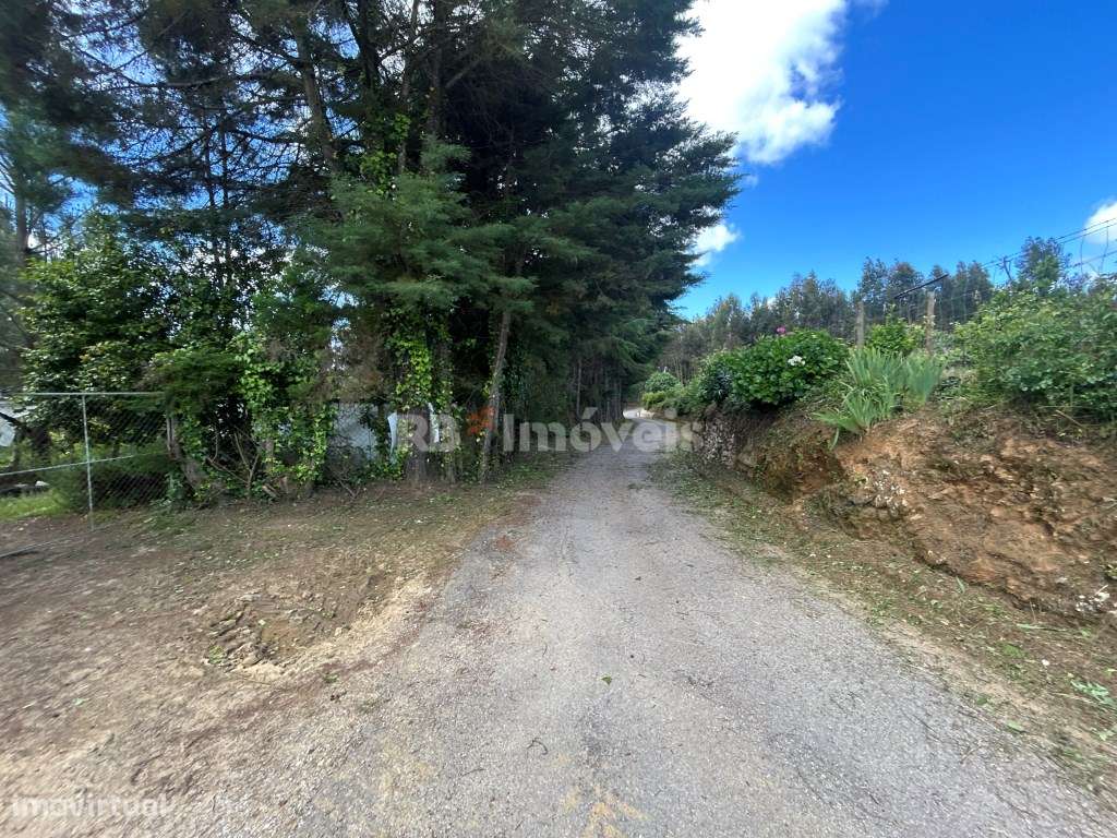 2 Terrenos com estufas - Pardielas, Ferreira do Zêzere - Grande imagem: 5/39