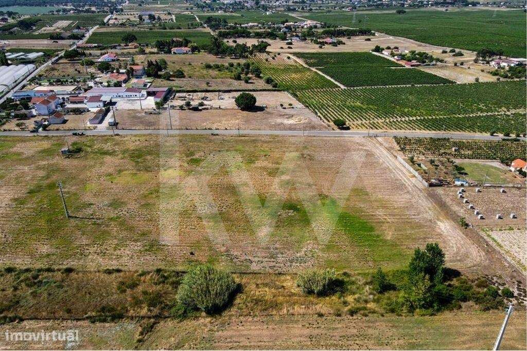 Terreno RÚSTICO c/ 1,86ha | Cajados - Palmela - Grande imagem: 2/12