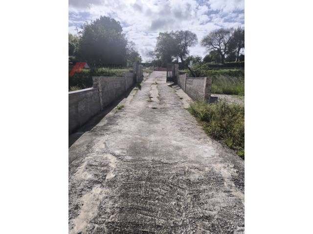 Quinta com Moradia Isolada e 4.450m² de Terreno Oiã Oliveira d Bairro-37