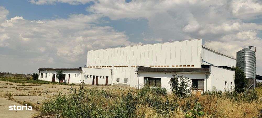 Independenta - Calarasi, Hala multifunctionala cu teren 30.000 mp - Imagine principală: 5/7