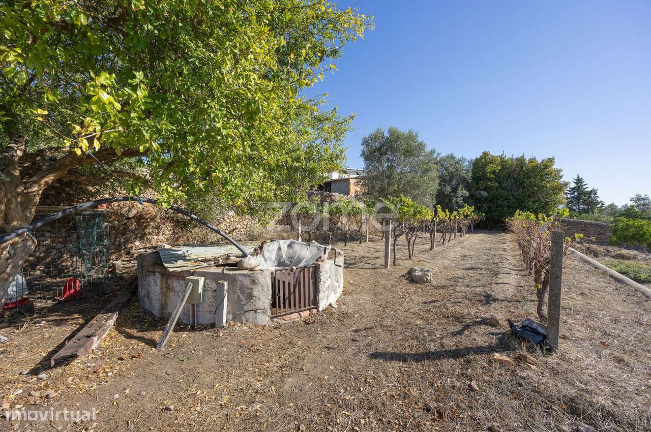 Lagar || Montalvo, Constância-18