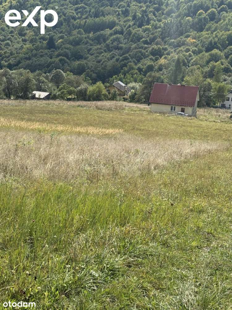 Urokliwa działka w Wujskim koło Sanoka - Pełny obrazek: 4/13