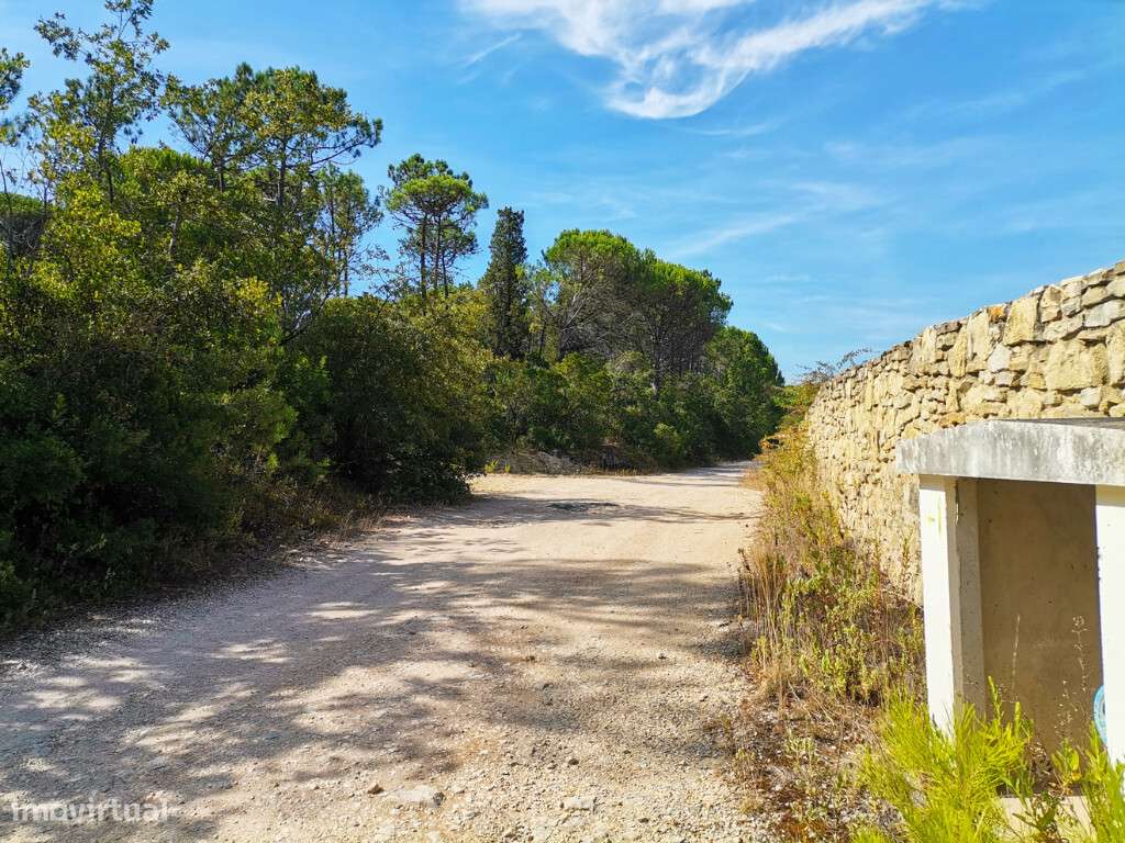 Terreno em zona de Cernache, Coimbra - Grande imagem: 4/5