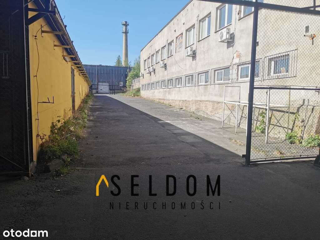 Hala produkcyjn- magazynowa - Pełny obrazek: 4/17