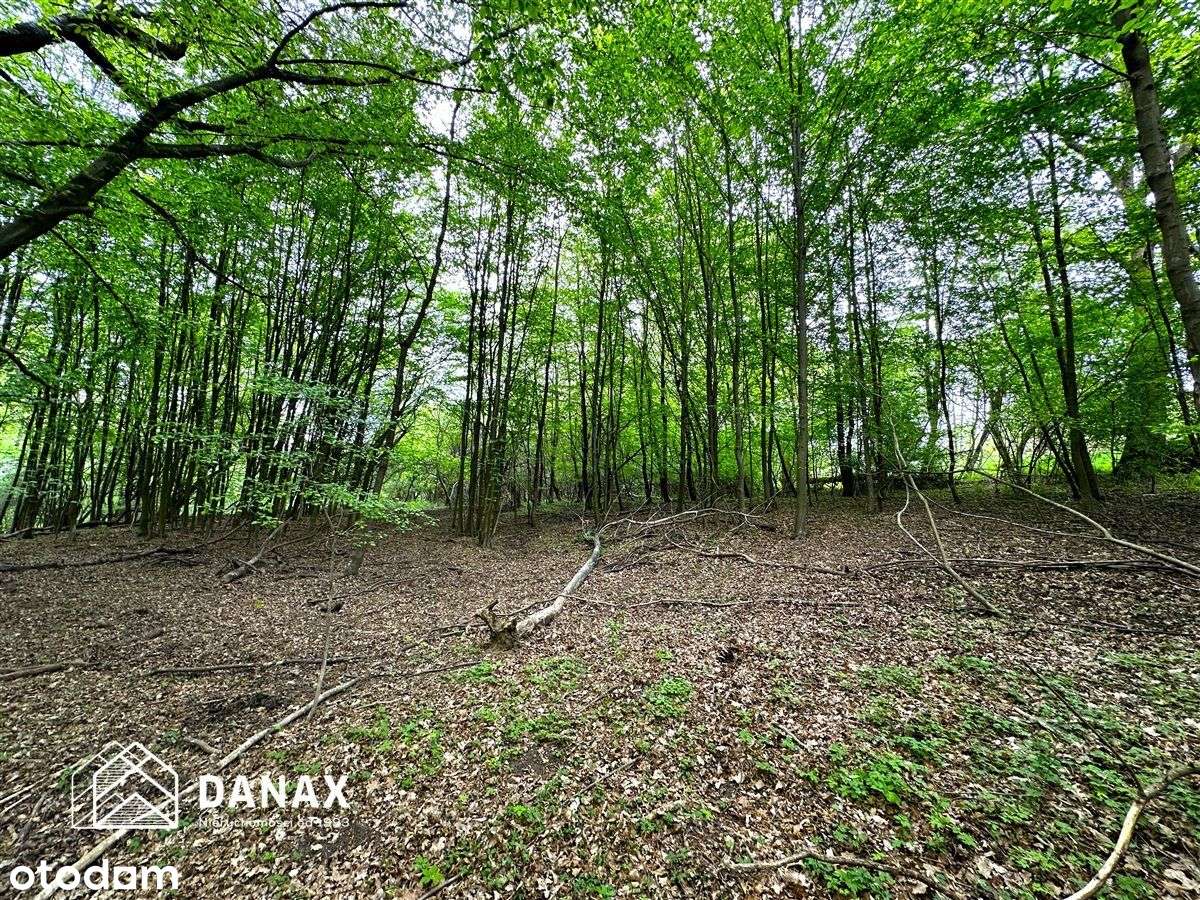Działka budowlana przy lesie oraz strumyku
