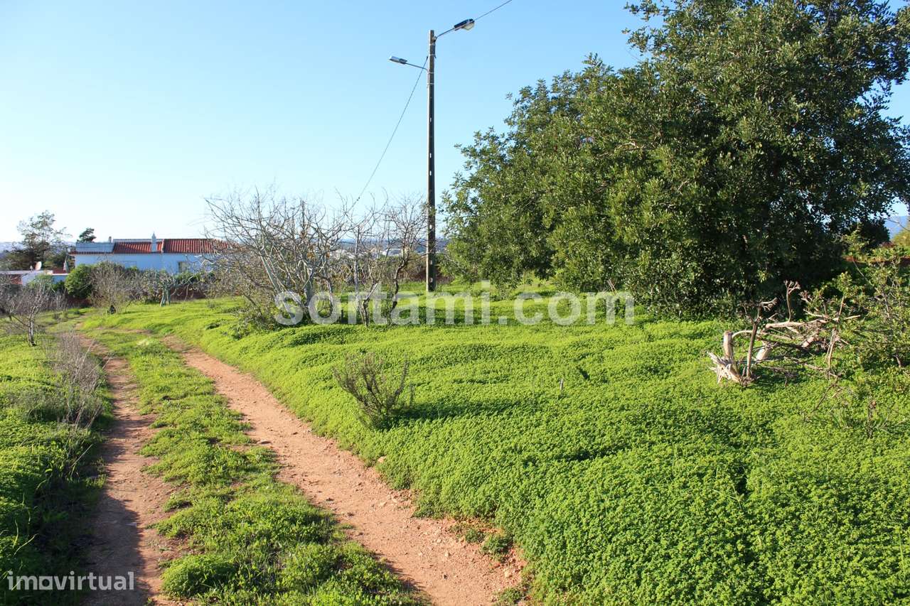 Terreno Rústico  Venda em Estômbar e Parchal,Lagoa (Algarve) - Grande imagem: 3/7