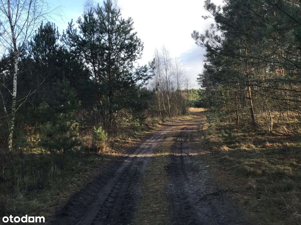 DZIAŁKI Mąkoszyce 4 x 1000 m2 - 59 zł/m2-3