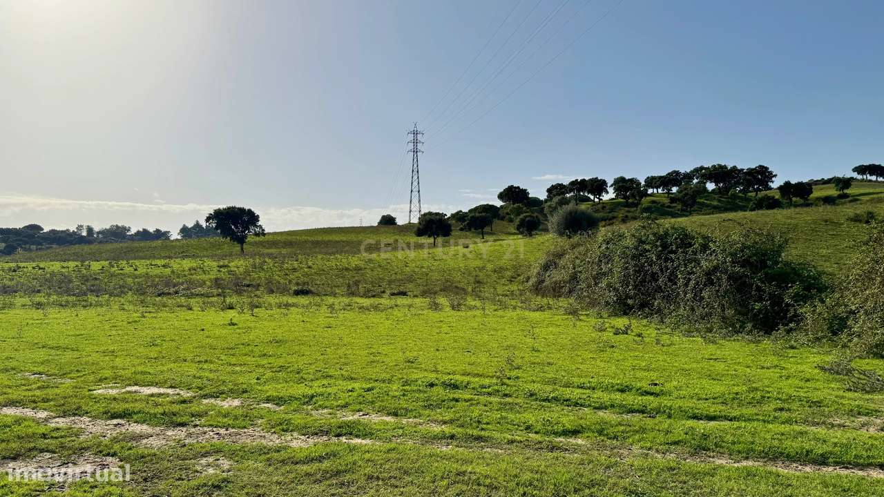 Terreno Rústico na Azambuja. Em Venda! - Grande imagem: 5/7