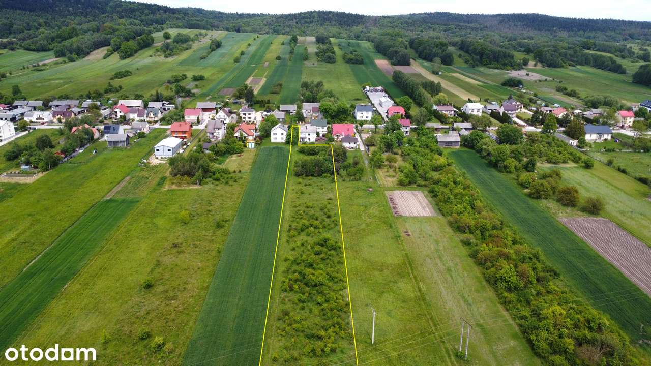 Działka 16 871 m2 Posłowice - Pełny obrazek: 5/5