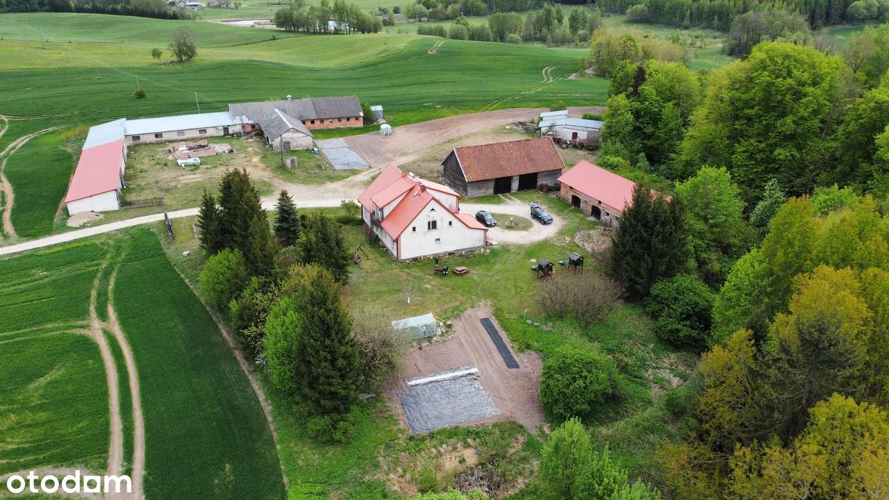 Klimatyczne siedlisko na mazurach ze stawem - Pełny obrazek: 5/20