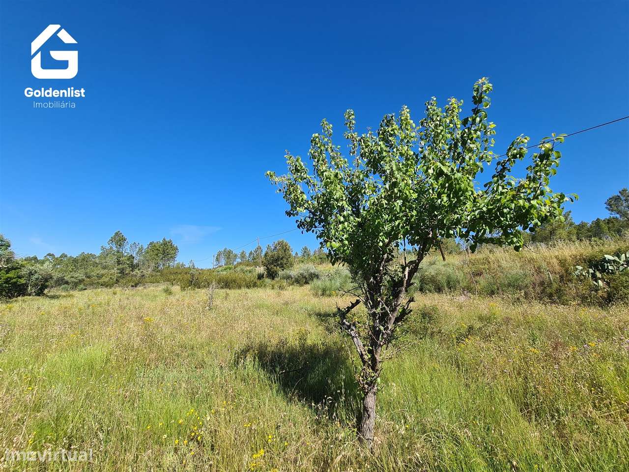 Quinta  Venda em Sarnadas de Ródão,Vila Velha de Ródão-26