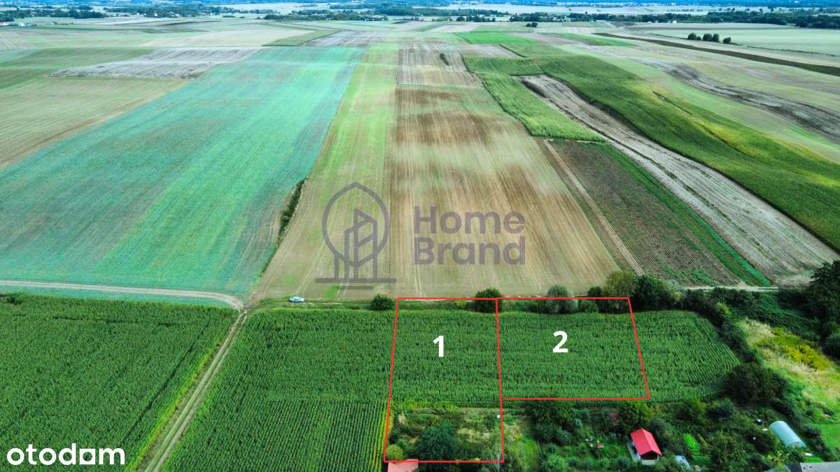 2 działki budowlane| 10 minut od Oleśnicy - Pełny obrazek: 1/5
