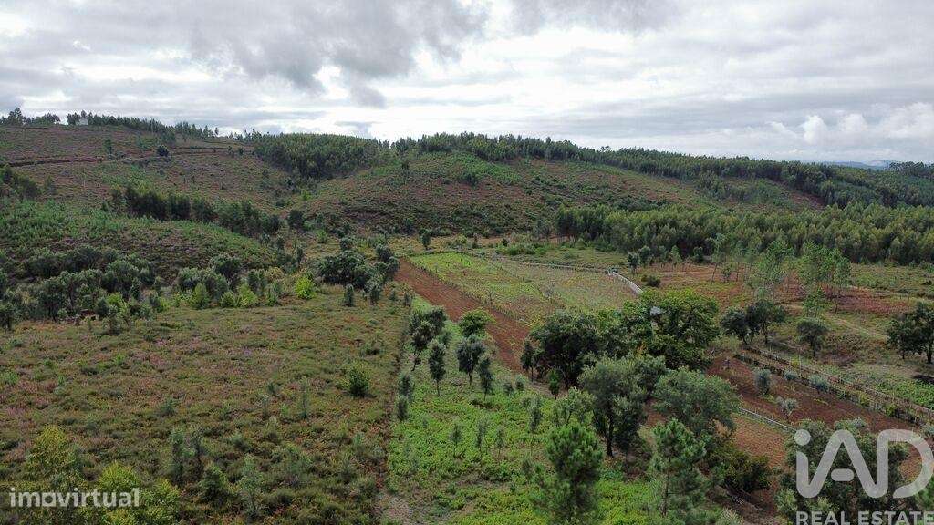 Casa / Villa T5 em Sertã de 180,00 m2 - Grande imagem: 5/30