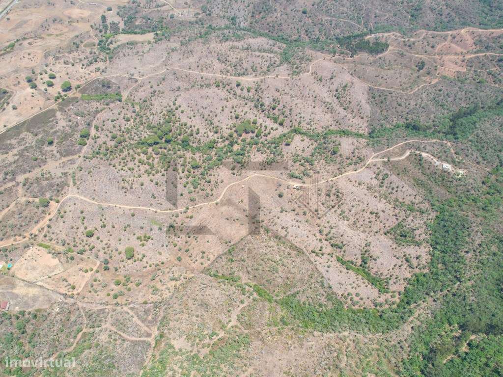 Terreno com PIP Aprovado com 55 Hectares e Ruínas para Venda em São... - Grande imagem: 2/33