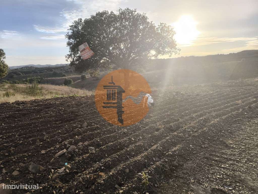 TERRENO RUSTICO COM 4.520 M2 - PRÓXIMO DA CORTE DO GAGO EM CASTRO M... - Grande imagem: 3/35