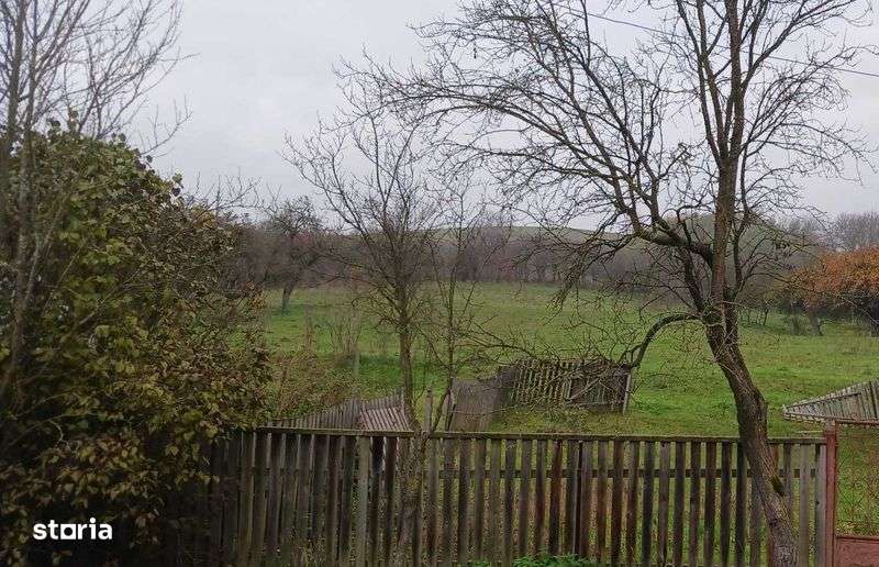 Teren intravilan de vanzare - Imagine principală: 4/4