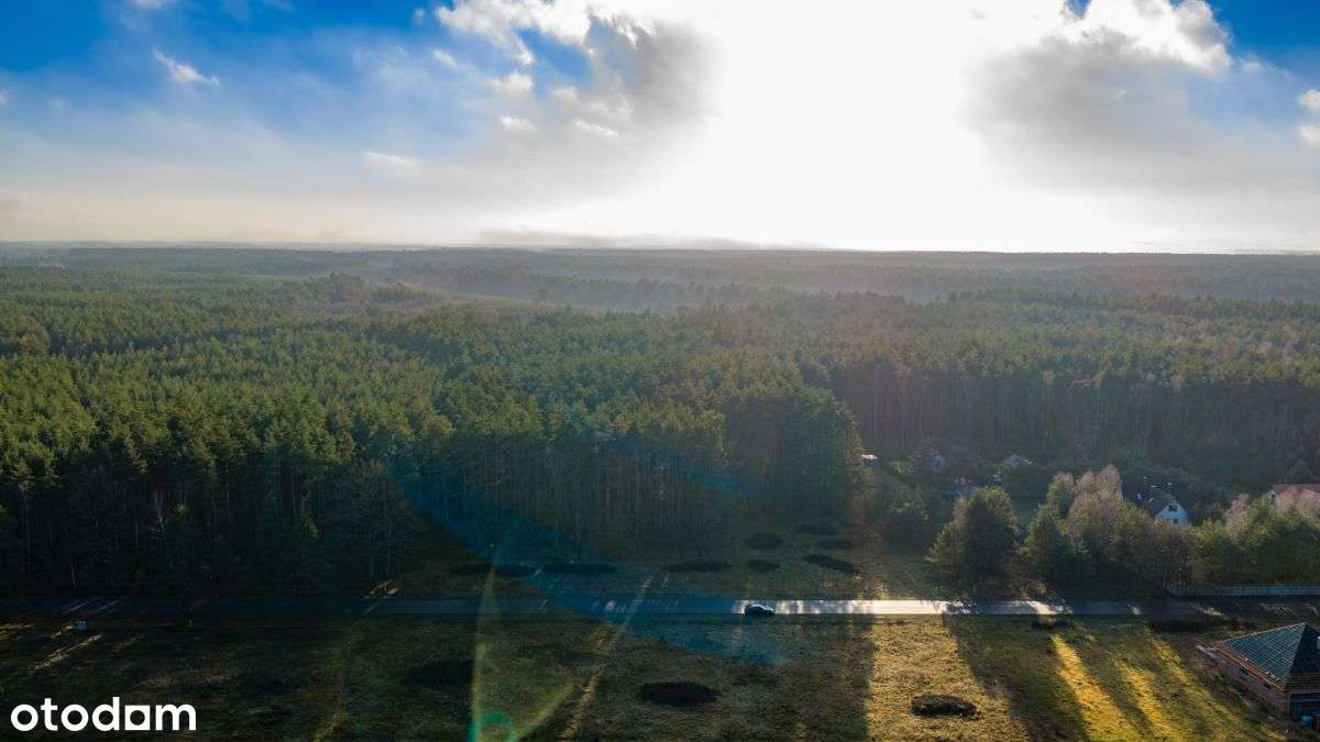 Duża Działka Budowlana Z Prywatnym Lasem-1