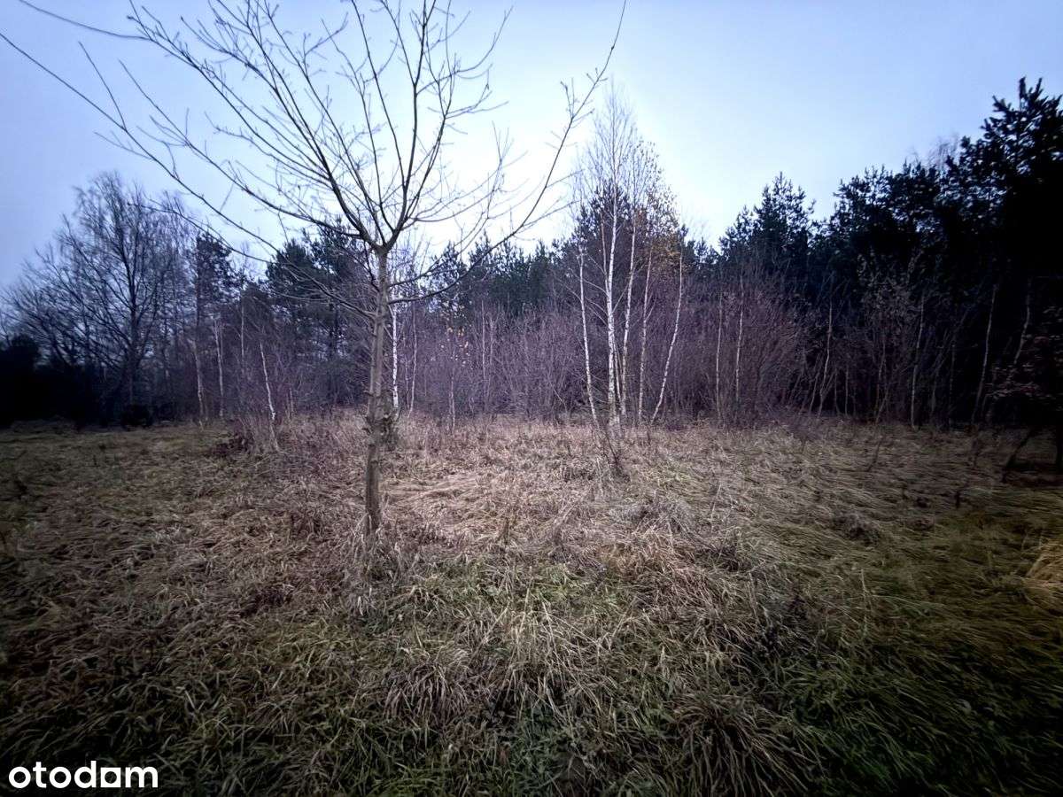 Okazja! Duża działka rolna w Borkowie 9802m2-6