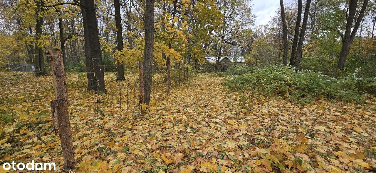 Działka w sercu Podkowy Leśnej .-1