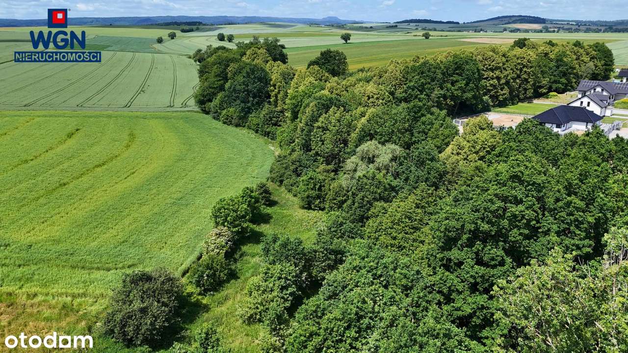 Polanica-Zdrój okolice, działka budowlana na sprzedaż.-13