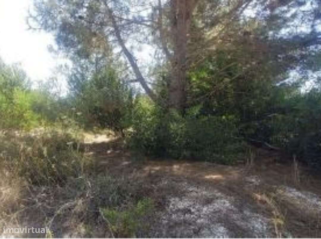 Oportunidade Costa Vicentina um modelo vida ´´Slow Living``. - Grande imagem: 4/4