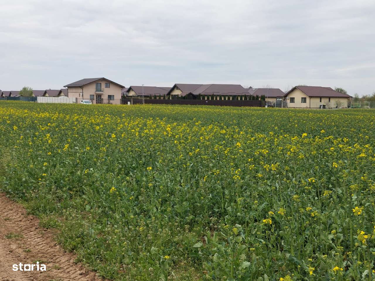 Teren In Balotesti ,str Orhideelor Zona in plina dezvoltare. - Imagine principală: 5/5