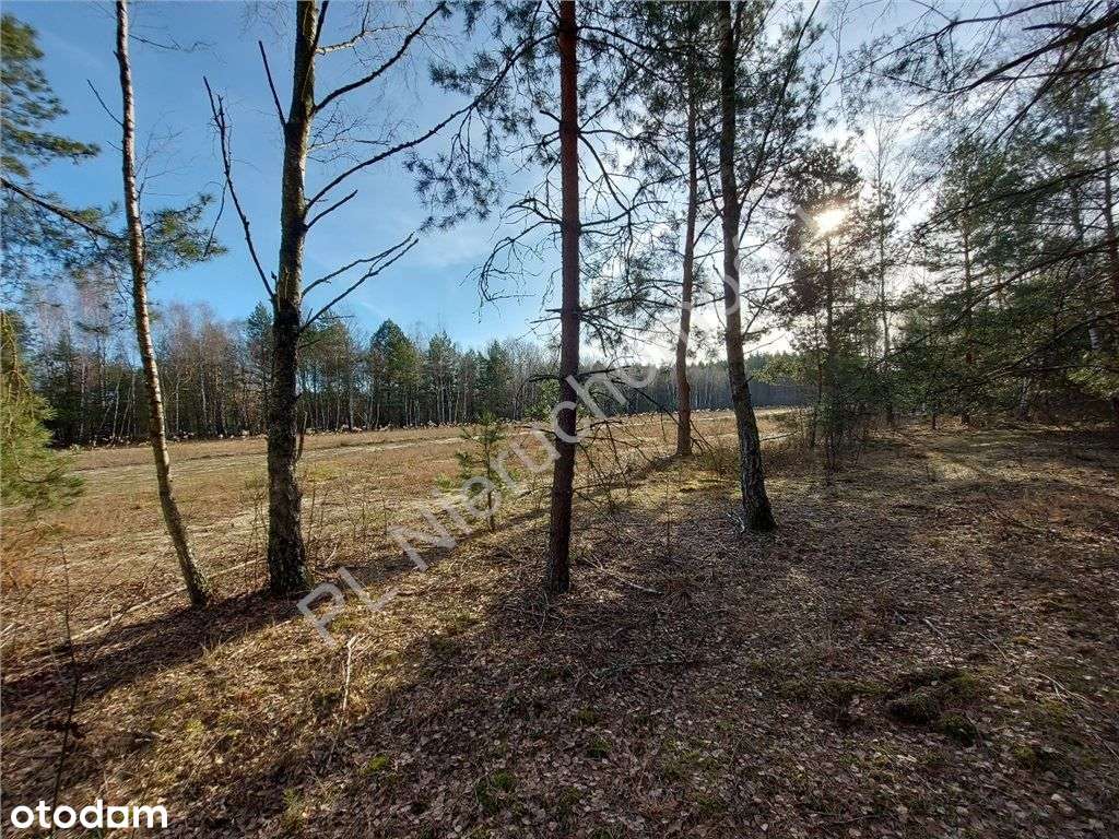 Ostatnia - Piękna Działka W Dobrej Cenie-13