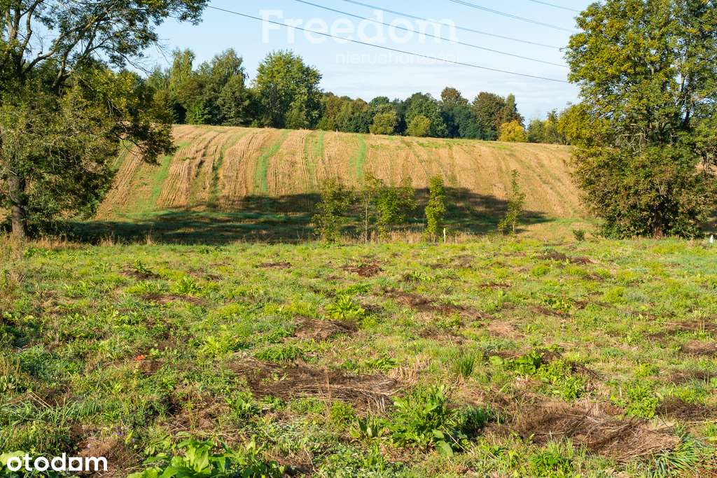 Działka rolno-budowlana w Brzeźnicy - Pełny obrazek: 4/19