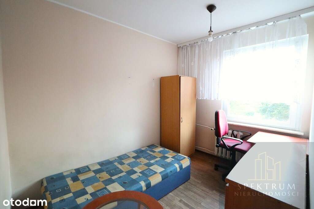 3 pokoje -ZWM- 1 piętro - winda-5