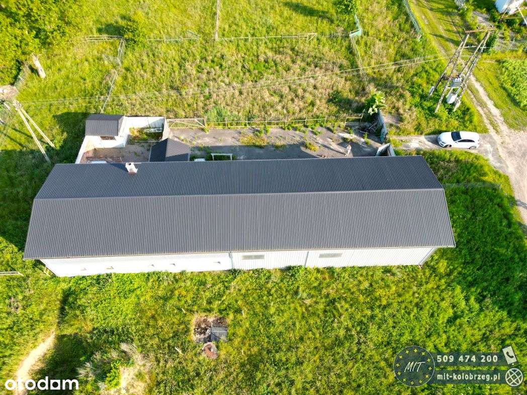 Działka, 5 798 m², Leszczyn - Pełny obrazek: 5/17