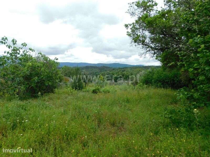 Quinta / Seia, Carragozela e Várzea de Meruge - Grande imagem: 5/10