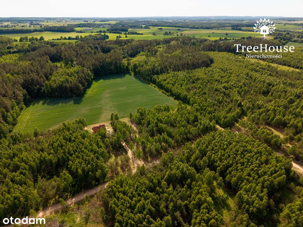 Mazury gotowy projekt las jezioro siedlisko-15